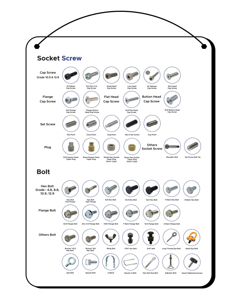 board-screw
