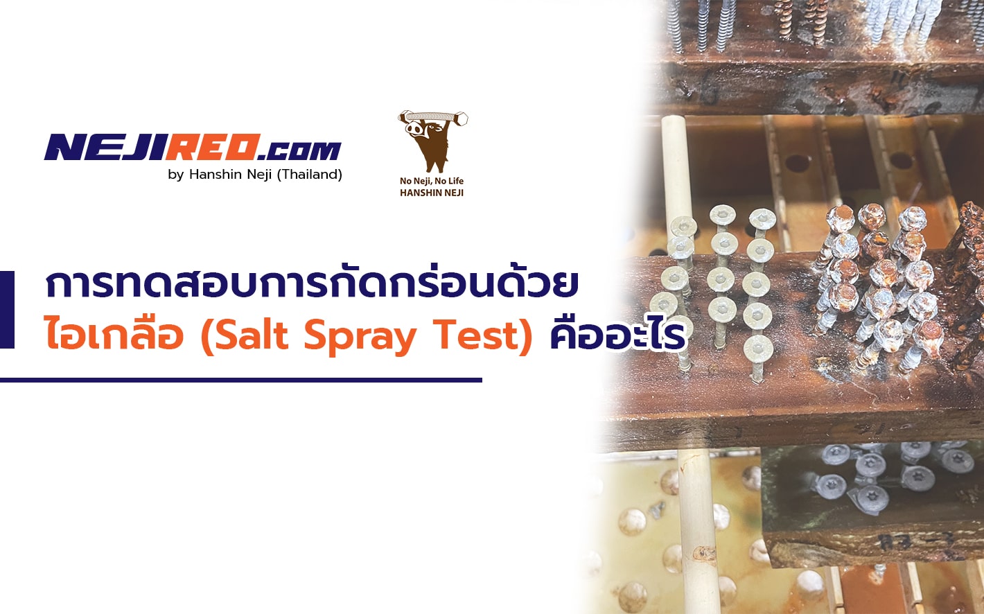รูปแบบการทดสอบการกัดกร่อนด้วยไอเกลือ (Salt Spray Test) คืออะไร